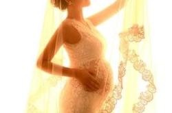 宠物网红“虐杀”疑云，为拍摄“救赎”视频自导自演伤害，动物保护组织报警