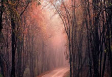 赵丽颖“隐性操盘手”，娱乐圈女强人的商业霸气