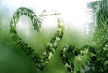 张艺兴的“直播炒作”，虚假热度背后的操控与利益