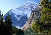 赵丽颖“隐性操盘手”，娱乐圈女强人的商业霸气