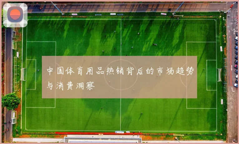 中国体育用品热销背后的市场趋势与消费洞察