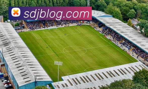电竞直播专区